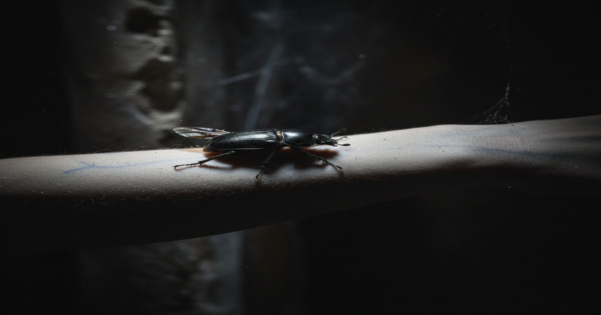 horror entomologico insetti letteratura 2026 corpo invaso